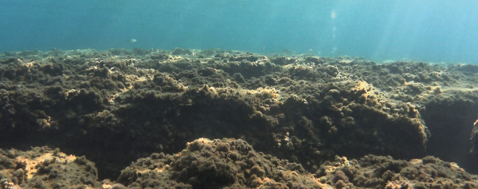 TWO EXHIBITIONS AT SALT