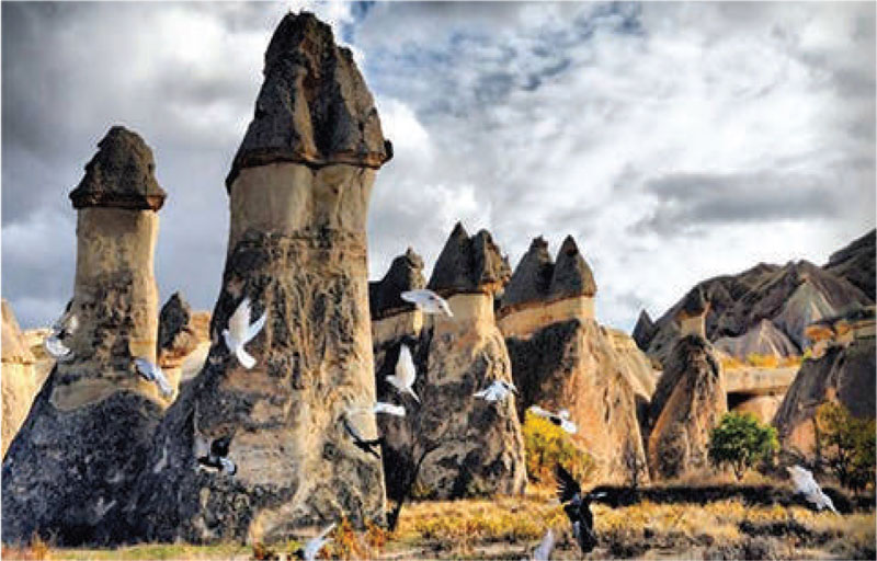 KAPADOKYA’DA ULUSLARARASI KORUMA VE MİMARLIK BULUŞMASI